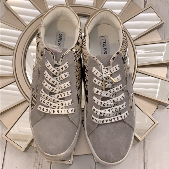 NEW Steve Madden Star Python Snake Sneakers Amalfi - Picture 3 of 9